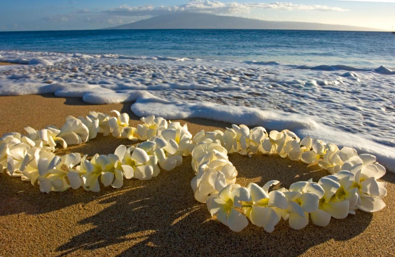 Steps To Waikiki Beach! Newly Renovated With 75" Tv هونولولو المظهر الخارجي الصورة